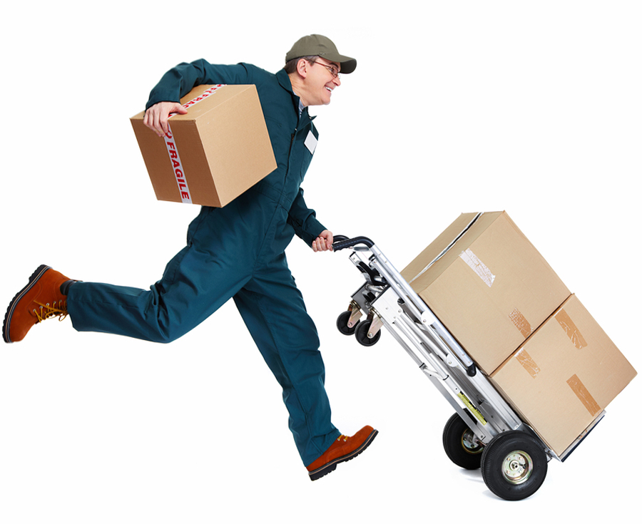 �������� �����